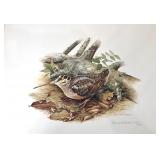 Woodock, Don Whitlatch unframed print by Nature