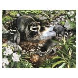 Raccoon, Don Whitlatch unframed print by Nature