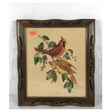 Cardinals bird print, framed 16x18