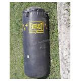 Everlast Boxing Bag