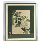 Mocking Bird and Magnolia print by Roger Tory