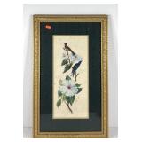 Bird print, framed and double matted with silk