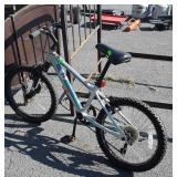 Bike, Diamondback Octane 20, used yet another