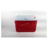 Rubbermaid cooler, 21" × 13" × 16"
