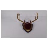Taxidermy lot, 8 point antler mount.