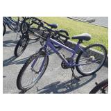 Purple Roadmaster 15 speed bicycle,  24in wheels,