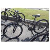 Trek mt200 icicle with 24in Tires Tires are flat