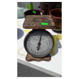 Early food Scales 25lbs by ounces