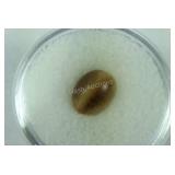 Approx 2.5 CT Tigers Eye Loose Stone