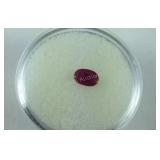 0.43 CT Genuine Ruby Loose Stone