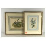 Early botanical pictures, chromolithograph from