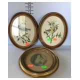 Three oval framed pictures two are bird and one