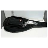 Soft-sided guitar case and a few extra strings.