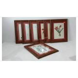 Seven framed, matted and matching floral