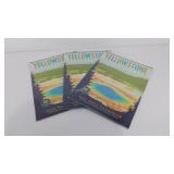 Case of fifty 2022 Wall Calendars, National