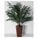 Everlasting palm tree, 47", seller code WM