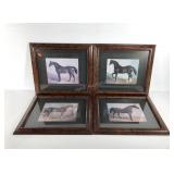 Four horse pictures in matching frames with