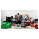 Halloween costumes, including some DIY costumes,