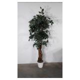 Everlasting potted tree, 78"
