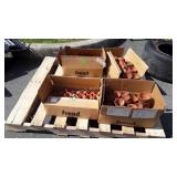 Collection of Terracotta Gardening Planter Pots,