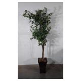 Everlasting potted tree, 79"