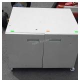 Metal storage cabinet on wheels 21" tall