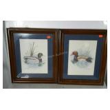 Pair of framed decoy prints by artist Stephen
