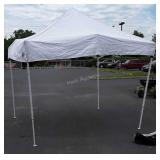 EZ Brand 10x10ft Pop- Up Canopy with storage bag,