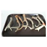 Group of single deer antlers, total of 7.