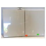 2 Art canvases, 11 x 14