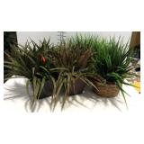 5 Home decor greenery plants in tin & wicker
