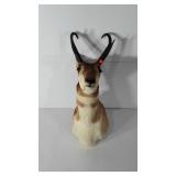 Taxidermy, pronghorn, 28"