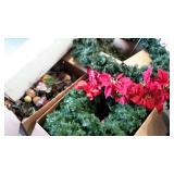 Skid lot: includes holiday decor, wreaths, wreath