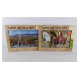 Two Tempered Glass Cutting Boards, never used