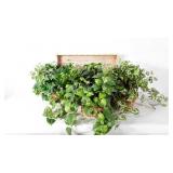 Wooden tray and three ever lasting plants in