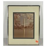 Washington monument through the cherry blossoms