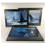 Trio of whale posters, framed underglass, one has