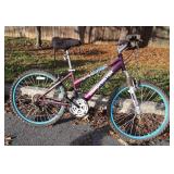 Mountain sport Roadmaster 18 speed bicycle