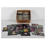 Large group of flower/gardening photographs