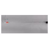 Acrylic Walking cane