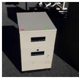 2 Drawer Organizer File Cabinet, 15x19x25" high