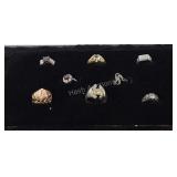 Jewelry display tray with 8 rings