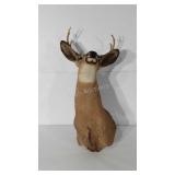 Taxidermy, eight point buck