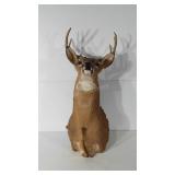 Taxidermy, eight point buck