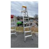 Werner 8 foot aluminum ladder