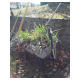 Lawn Gardening Wagon poly wagon with Dug Irises.