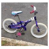 Schwinn Stardust Kid