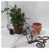 Garden group, includes terracotta pots,