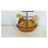 Amber colored hen on nest