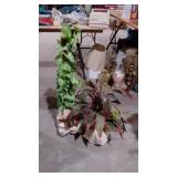 Two everlasting plants